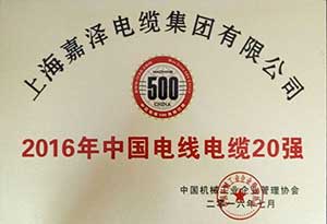 20强